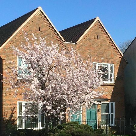 3 Summertown Court Oxford Eksteriør bilde