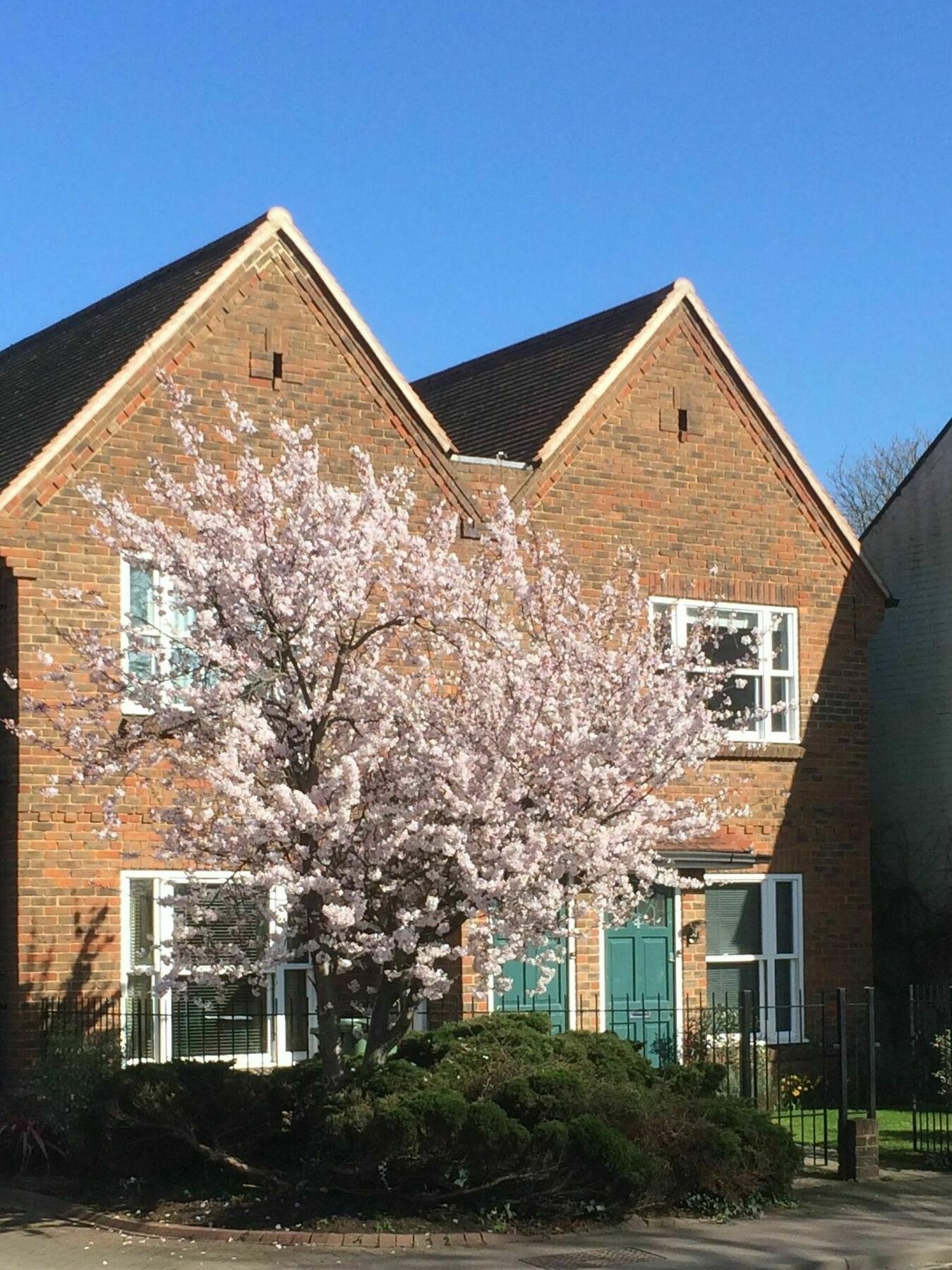 3 Summertown Court Oxford Eksteriør bilde